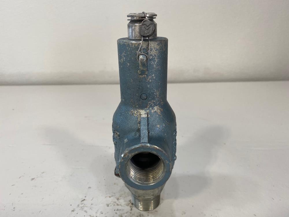 Mercer 1" NPT 150# WCB Relief Valve 81-17151V37P11T